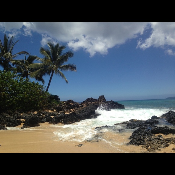 Meet your Posher, Stacy - Picture 1 of 1